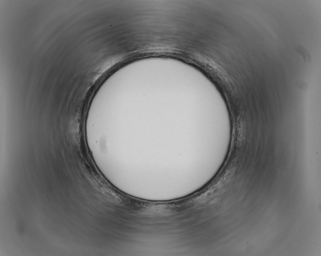X0000111481162200908111155