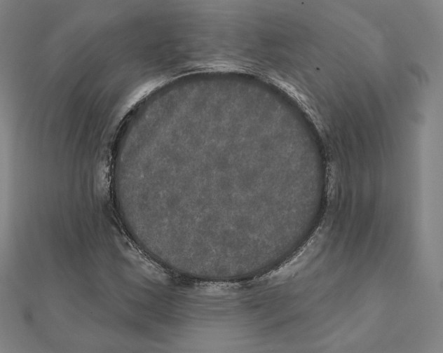X0000111481163200908111155