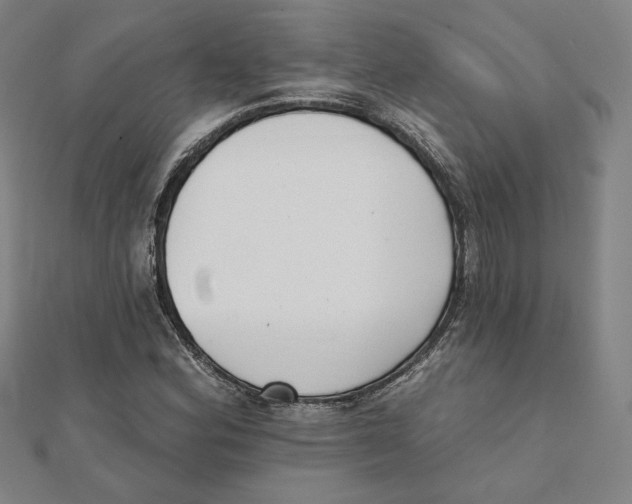 X0000111481164200908111154