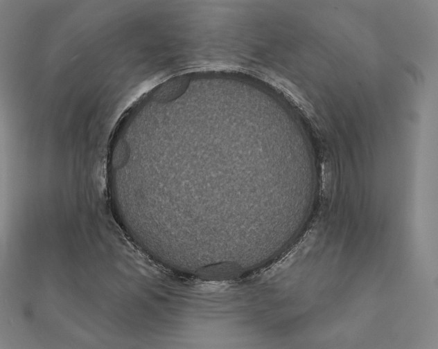 X0000111481165200908111154