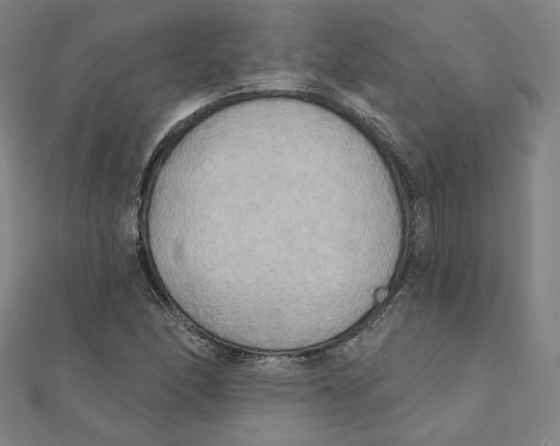 X0000111481166200908111154