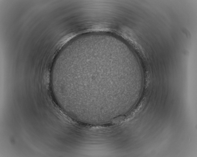 X0000111481169200908111154