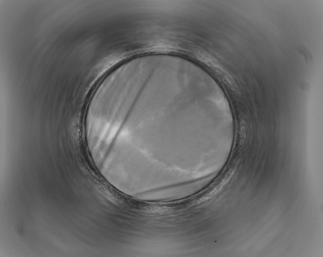 X0000111481170200908111154