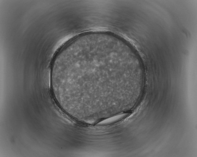X0000111481171200908111154