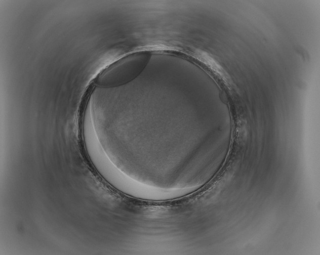 X0000111481173200908111154