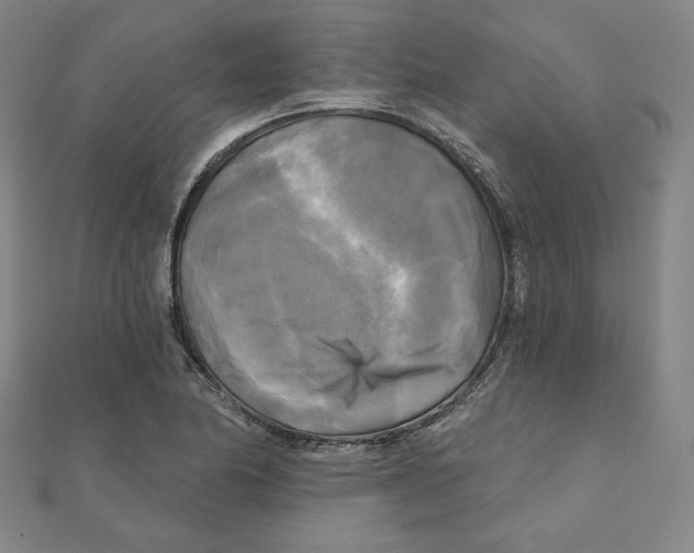 X0000111481174200908111154