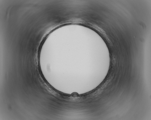 X0000111481176200908111154
