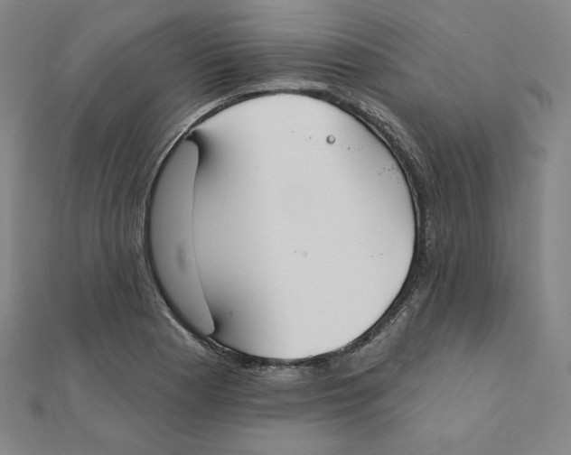 X0000111481177200908111154
