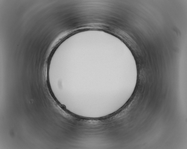 X0000111481180200908111154