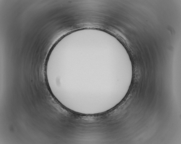 X0000111481182200908111154