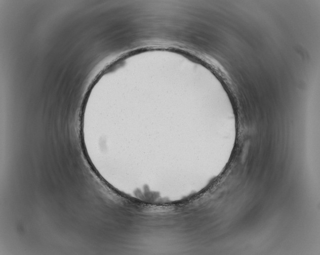 X0000111481183200908111154