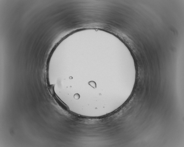 X0000111481184200908111154