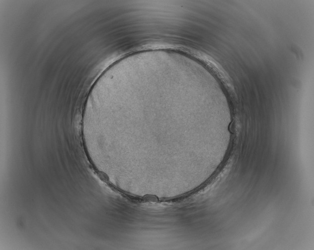 X0000111481185200908111154