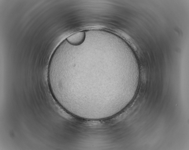 X0000111481186200908111154