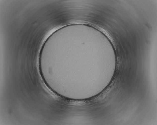 X0000111481187200908111154