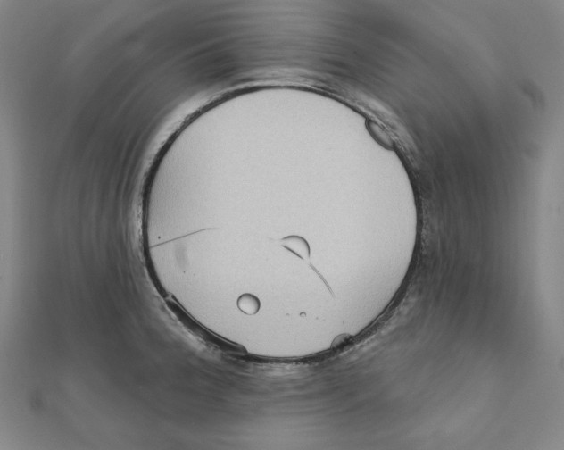X0000111481188200908111154
