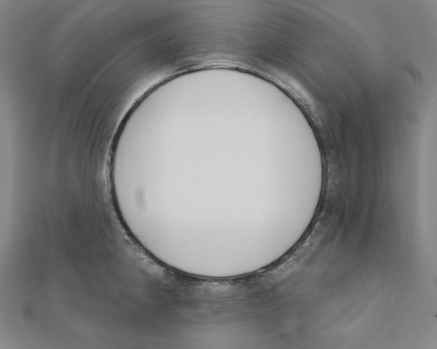 X0000111481190200908111154