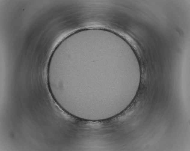 X0000111481191200908111154