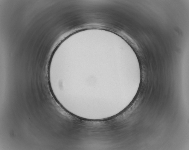 X0000111481192200908111154