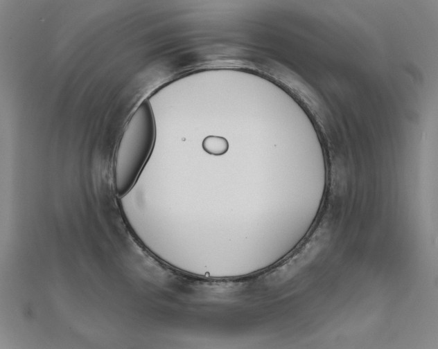 X0000111481193200908111154