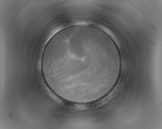 X0000111481194200908111154