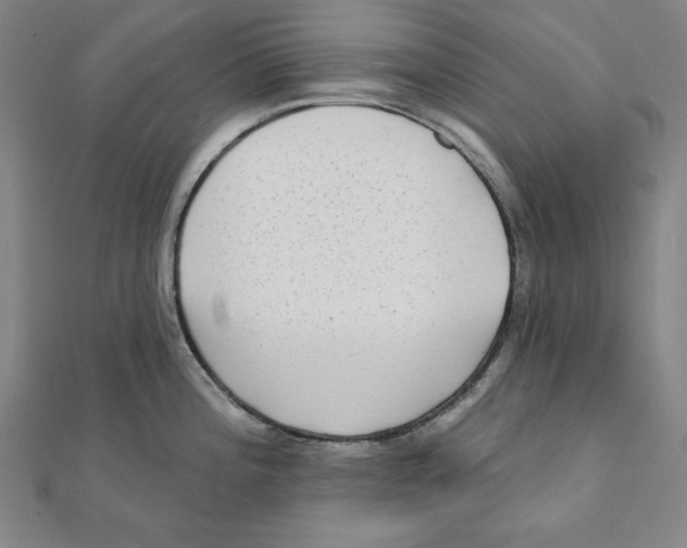 X0000111481196200908111154