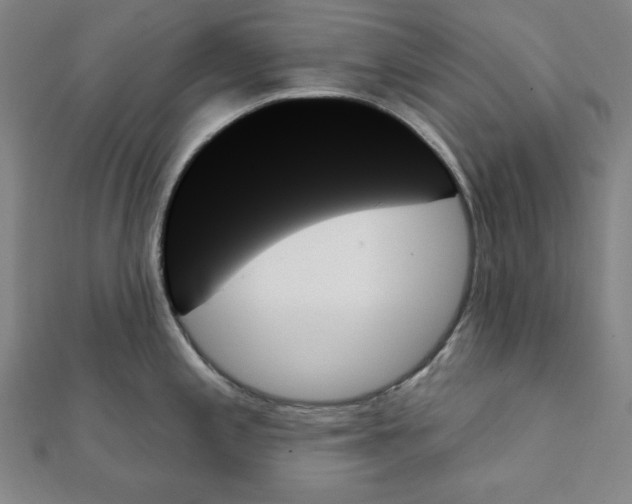 X0000111481197200908111154