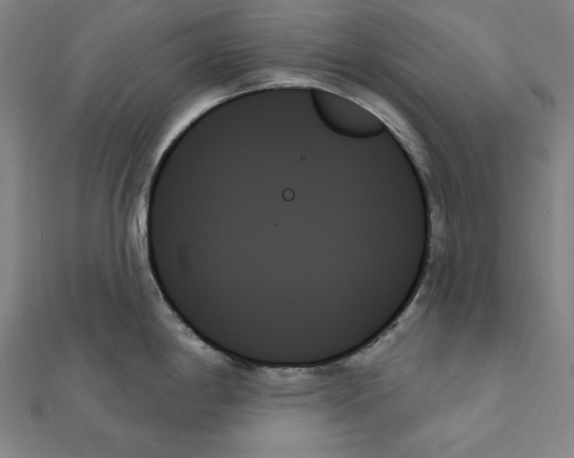 X0000111481198200908111154