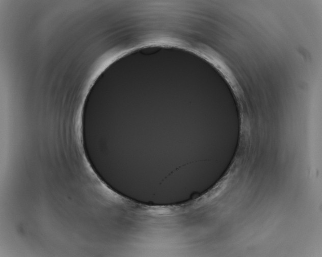 X0000111481199200908111154