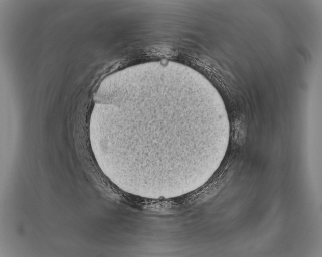 X0000111481201200908111153