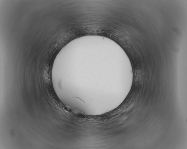 X0000111481202200908111153