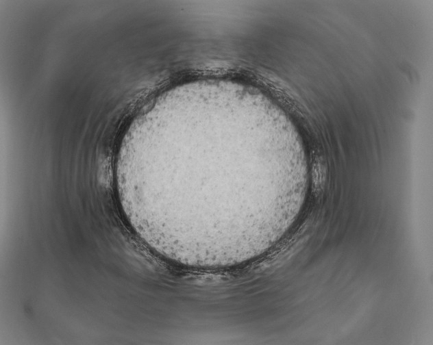 X0000111481204200908111153