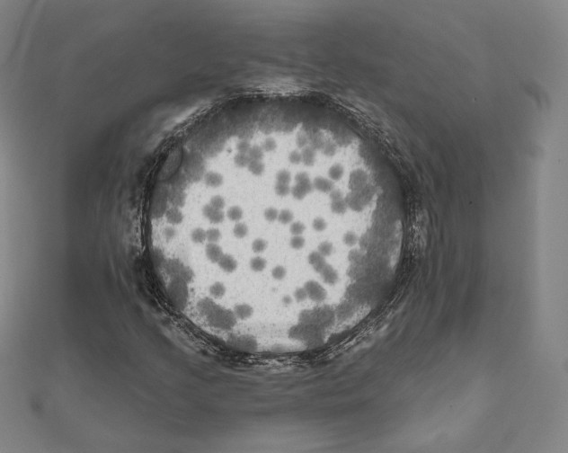 X0000111481205200908111153