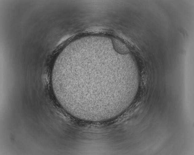 X0000111481206200908111153