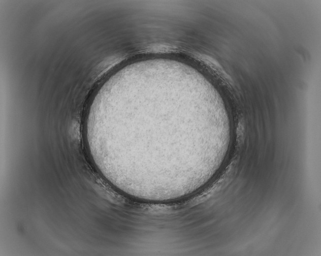X0000111481209200908111154