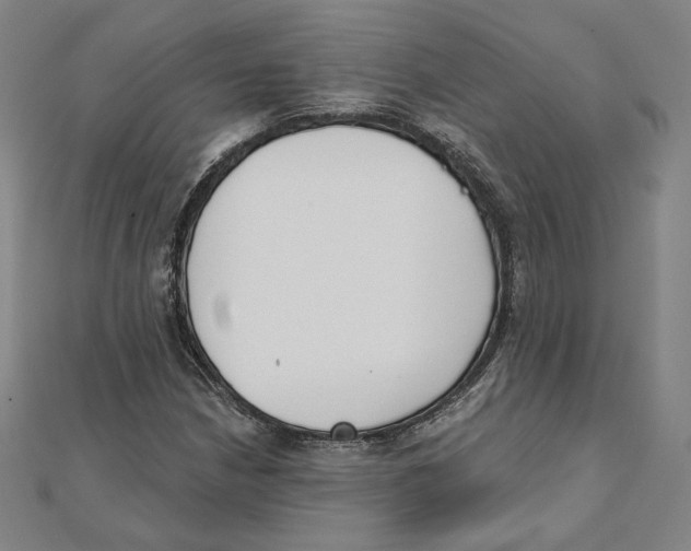 X0000111481210200908111154