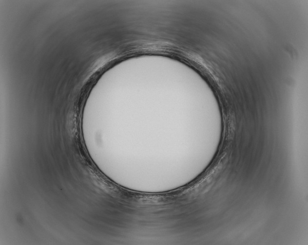 X0000111481211200908111154