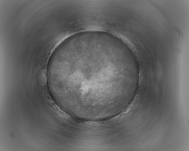 X0000111481212200908111154