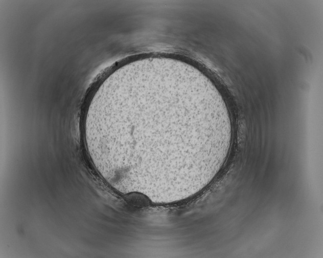 X0000111481214200908111154