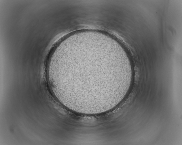 X0000111481215200908111154