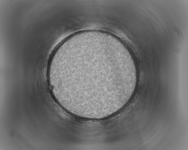 X0000111481216200908111154