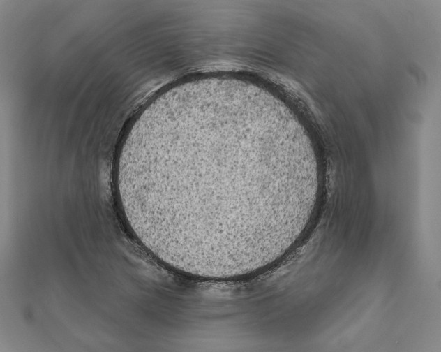 X0000111481217200908111154
