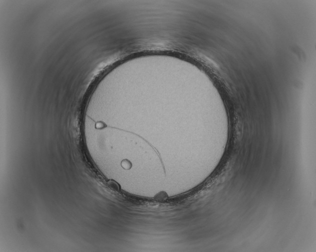 X0000111481218200908111154