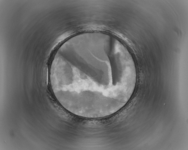 X0000111481219200908111154
