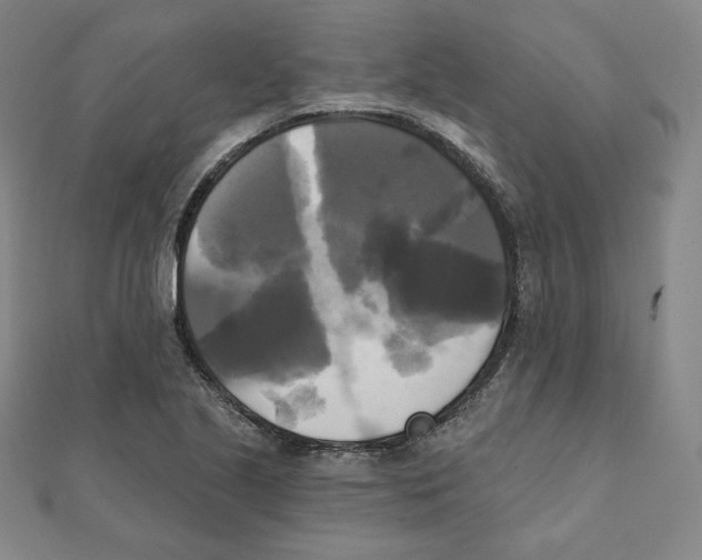 X0000111481221200908111154