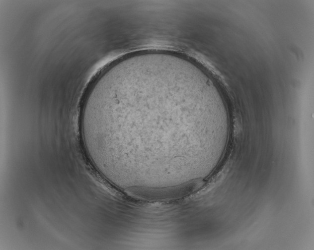 X0000111481222200908111154