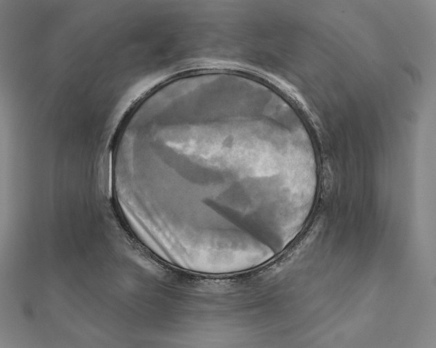 X0000111481223200908111154