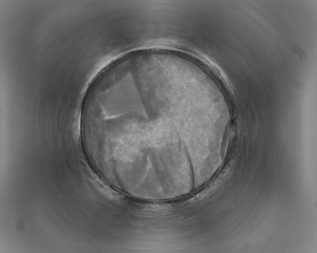 X0000111481224200908111154