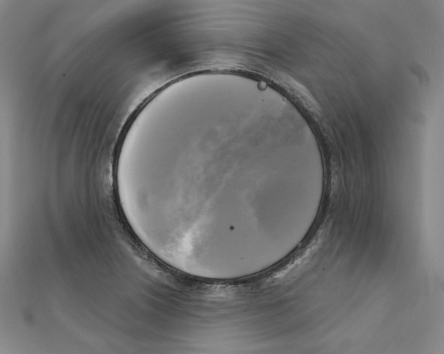 X0000111481226200908111154