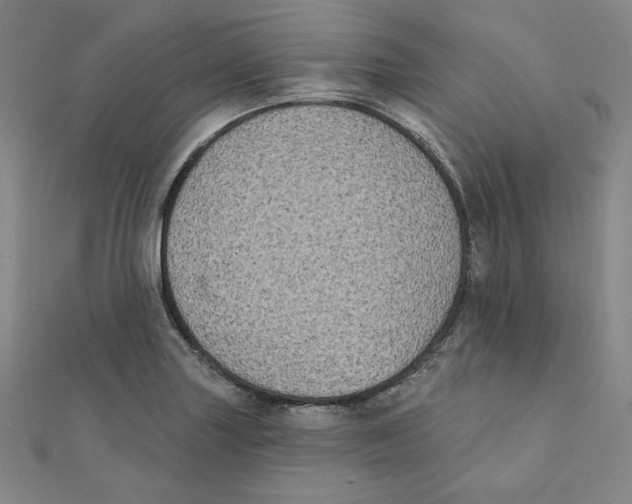 X0000111481227200908111154